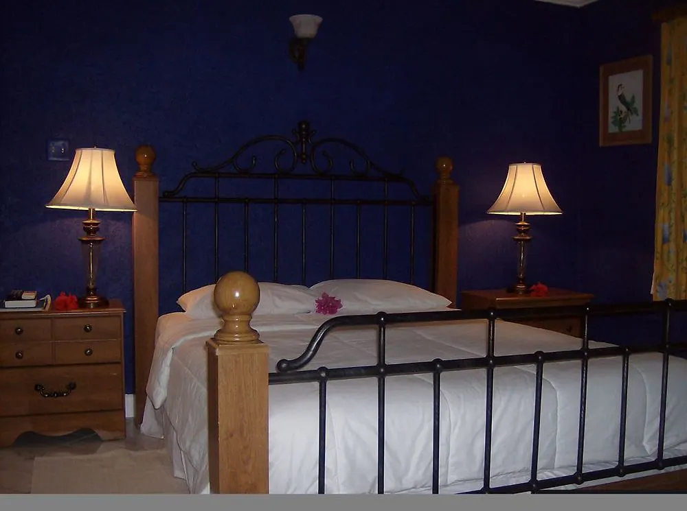 Bar-B-Barn Beach Hotel Negril
